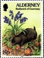 [Flora and Fauna, type BT]