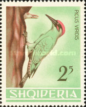 [Birds, type PQ]