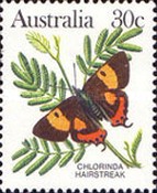 [Butterflies, type AAF]