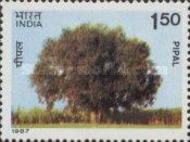 [Indian Trees, type AJI]
