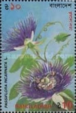 [Flowers, type RE]