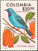 [Birds and Flowers, type ANT]