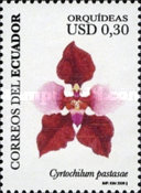 [Orchids, type DFQ]