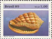 [Molluscs, type CIY]