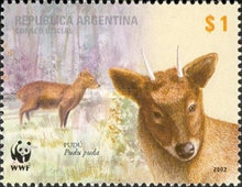 [World Wildlife Fund for Nature, type CPV]