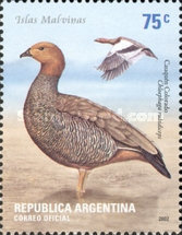 [Birds, type COT]