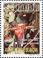 [Birds of Mazan, type CNC]