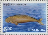 [Endangered Marine Mammals, type APV]