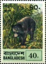 [Animals, type BJ]
