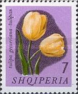 [Flowers, type TY]