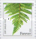 [Flora - Ferns, type GLD1]