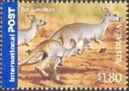 [Bush Wildlife, type CJV]