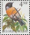 [Birds, type BPB]