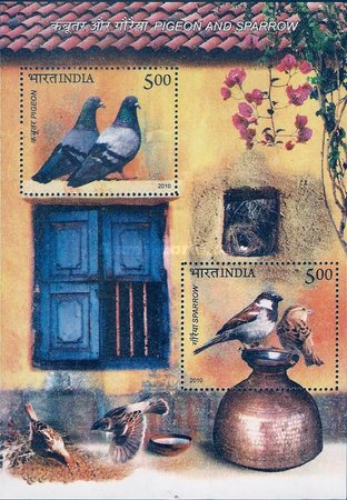 [Pigeon and Sparrow, type ]