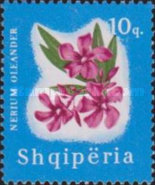 [Flowering Plants, type UP]