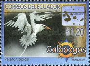 [Fauna of Galapagos Island, type DKG]