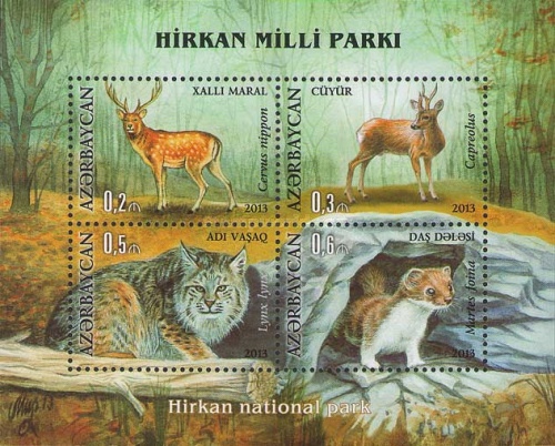 [Hirkan National Park, type ]