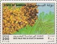 [The Date Palm, type LK]