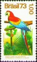 [Brazilian Flora and Fauna, type BAG]
