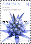 [Wildflowers, type EFK]