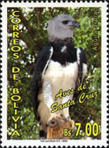 [Birds of the District of Pando, type BGR]