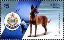 [Working Dogs in Government Service, type BFA]