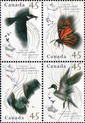 [Migratory Wildlife - with AUNE Inscribed, type ]