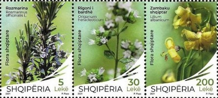 [Albanian Flora, type ]