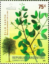 [Mercosur, South American Common Market, type CNR]