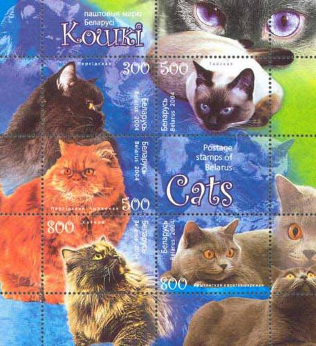 [Cats, type ]