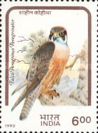 [Birds of Prey, type ATB]