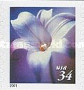 [Flowers - Self-Adhesive Coil Stamps, type DNR6]