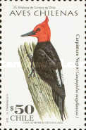[Birds, type BKW]