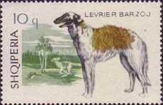 [Dogs, type YIB]