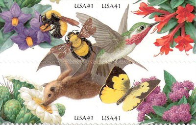 [Flora and Fauna - Pollination - Self-Adhesive, type ]