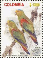 [The 1st Anniversary of Re-discovery of dwart Chapmans Amazon, type ]