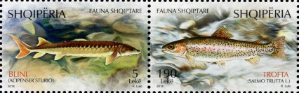 [Albanian Fauna - Fishes, type ]