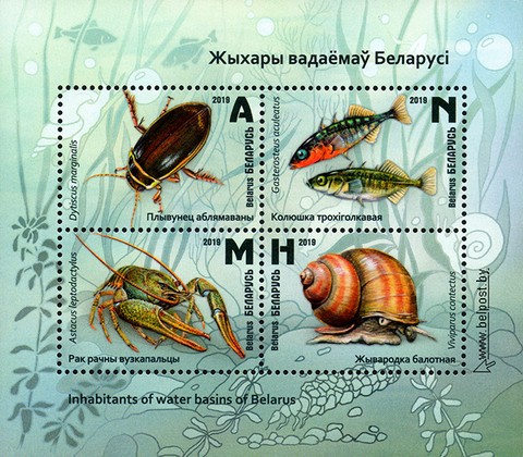 [Inhabitants of Water Basins of Belarus, type ]