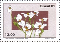 [Flowers of the Central Plateau, type BQU]