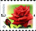 [Flowers - Roses, type DFU1]