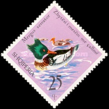 [Birds - Wildfowl, type XNN]
