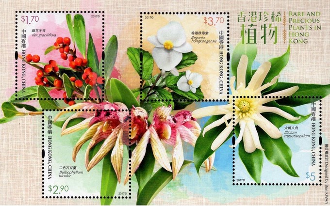 [Rare and Precious Plants in Hong Kong, type ]