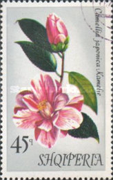 [Flowers - Camellias, type AOE]
