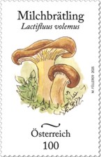 [Mushroom, type EFR]