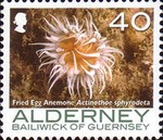 [Marine Life - Corals & Anemones, type KY]