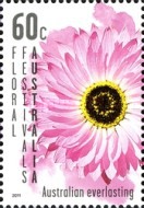 [Flowers - Floral Festival Australia, type DMM]
