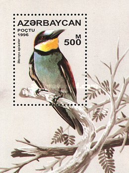[Birds, type ]