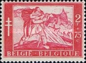 [The struggle against Tuberculosis, type ST]