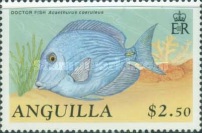 [Fish, type AEF]
