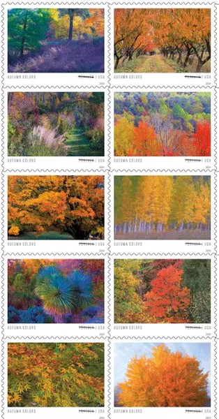 [Autumn Colors, type ]